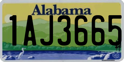 AL license plate 1AJ3665