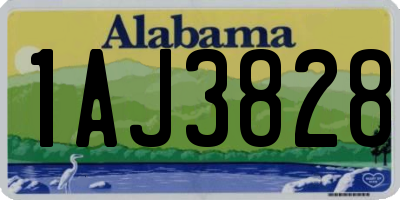 AL license plate 1AJ3828