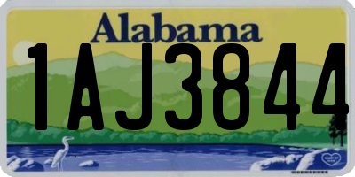 AL license plate 1AJ3844