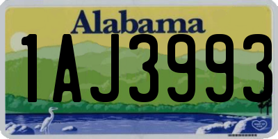 AL license plate 1AJ3993