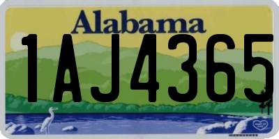 AL license plate 1AJ4365