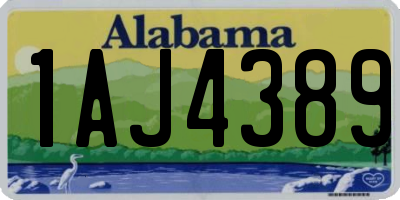 AL license plate 1AJ4389