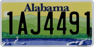 AL license plate 1AJ4491