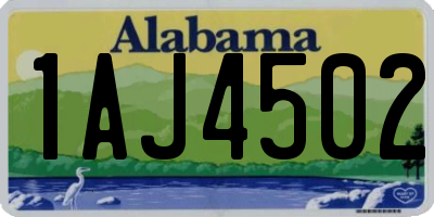 AL license plate 1AJ4502
