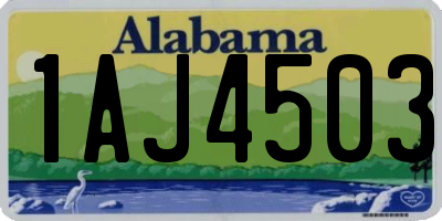 AL license plate 1AJ4503