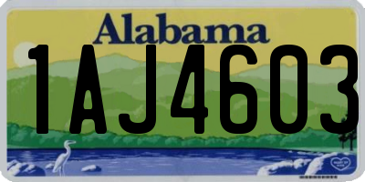 AL license plate 1AJ4603