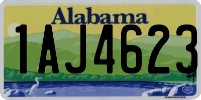 AL license plate 1AJ4623