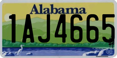 AL license plate 1AJ4665