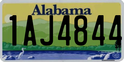AL license plate 1AJ4844