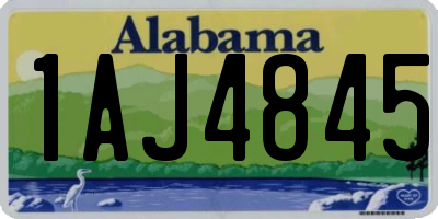 AL license plate 1AJ4845