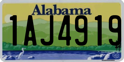 AL license plate 1AJ4919