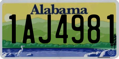 AL license plate 1AJ4981