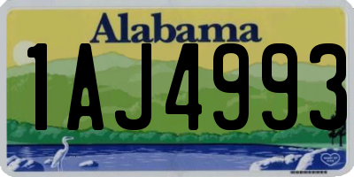 AL license plate 1AJ4993