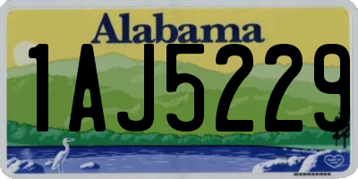 AL license plate 1AJ5229