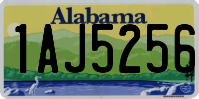 AL license plate 1AJ5256