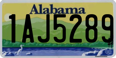 AL license plate 1AJ5289
