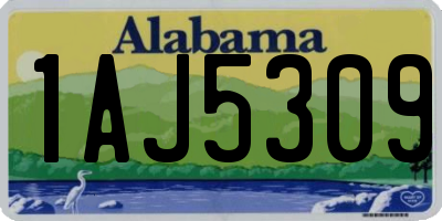 AL license plate 1AJ5309