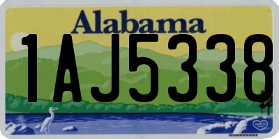 AL license plate 1AJ5338