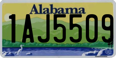 AL license plate 1AJ5509
