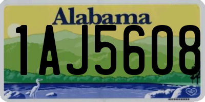 AL license plate 1AJ5608