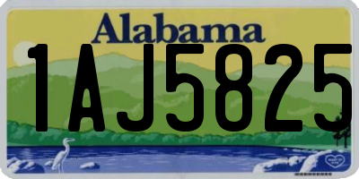 AL license plate 1AJ5825