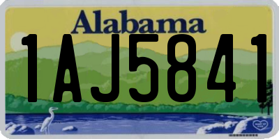 AL license plate 1AJ5841