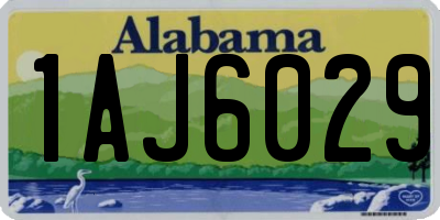 AL license plate 1AJ6029