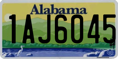 AL license plate 1AJ6045