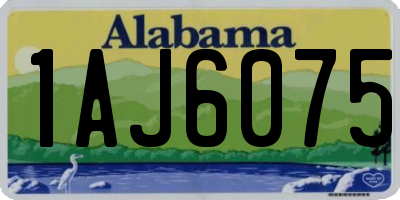 AL license plate 1AJ6075