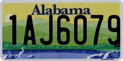 AL license plate 1AJ6079