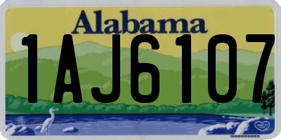 AL license plate 1AJ6107