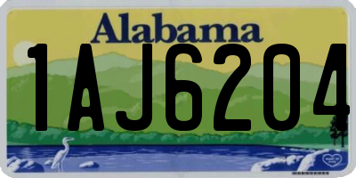 AL license plate 1AJ6204