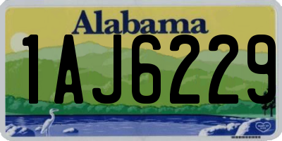 AL license plate 1AJ6229