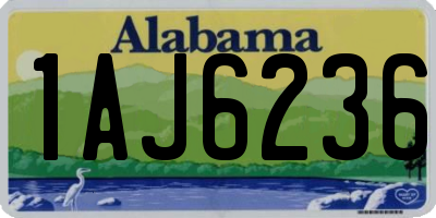 AL license plate 1AJ6236