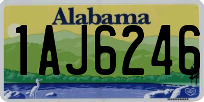 AL license plate 1AJ6246