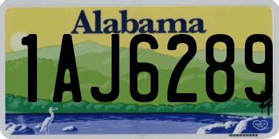 AL license plate 1AJ6289