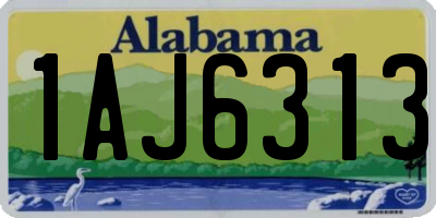 AL license plate 1AJ6313