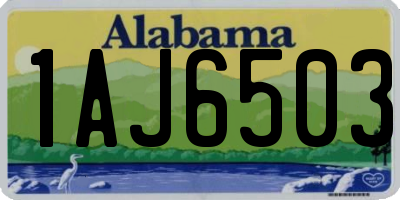 AL license plate 1AJ6503