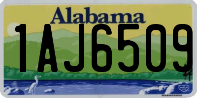 AL license plate 1AJ6509