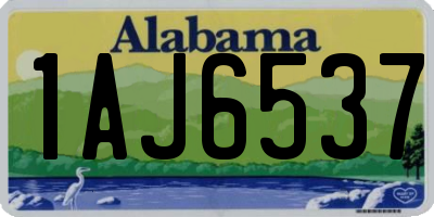 AL license plate 1AJ6537