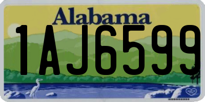 AL license plate 1AJ6599
