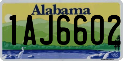 AL license plate 1AJ6602