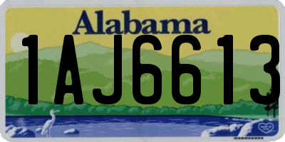 AL license plate 1AJ6613