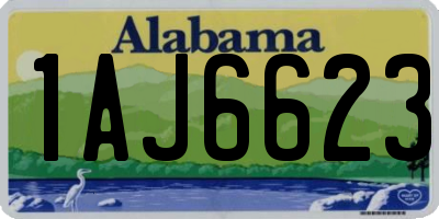 AL license plate 1AJ6623
