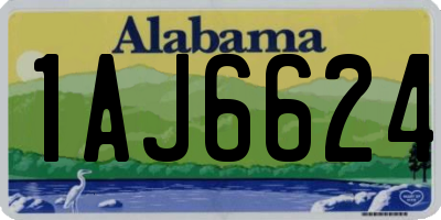 AL license plate 1AJ6624