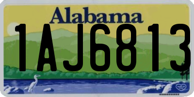 AL license plate 1AJ6813