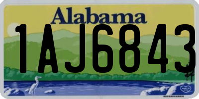AL license plate 1AJ6843