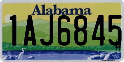 AL license plate 1AJ6845