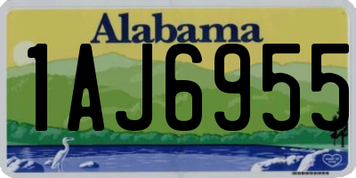 AL license plate 1AJ6955