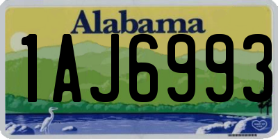 AL license plate 1AJ6993